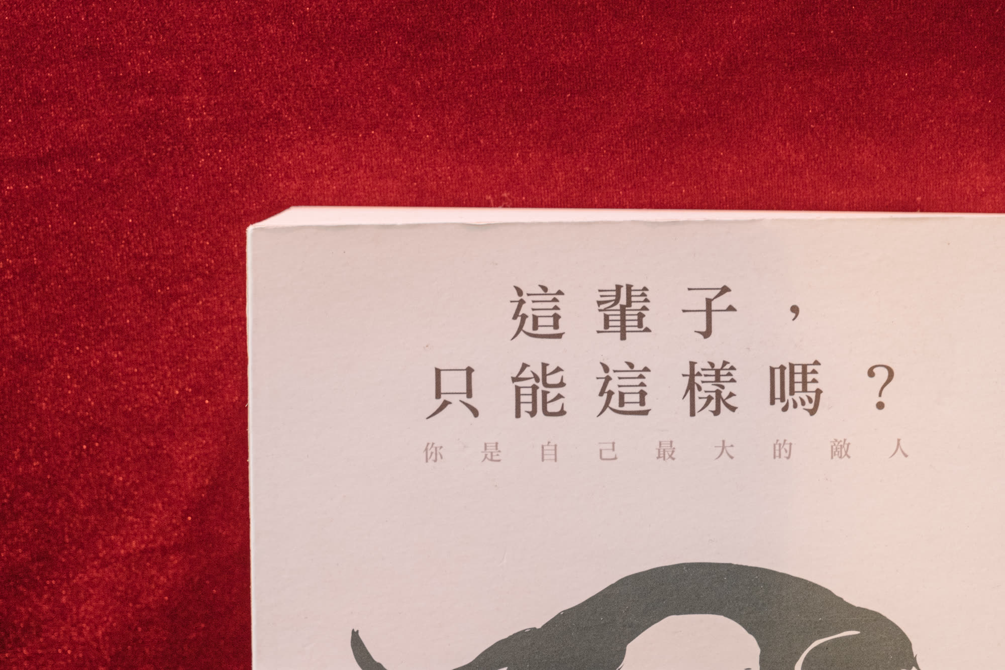 福檯 展覽現場，張儀君 Luna Cheong，儀式感 Rituality 個展
